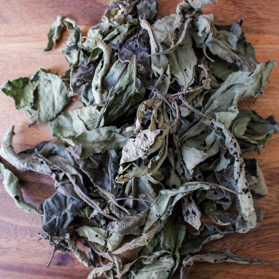 Black Sage leaves