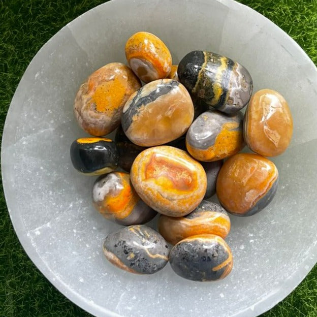 Jasper - Bumblebee neom.soul