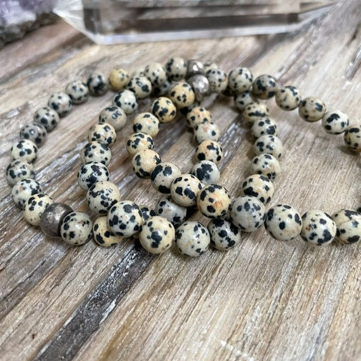 Jasper - Dalmatian neom.soul