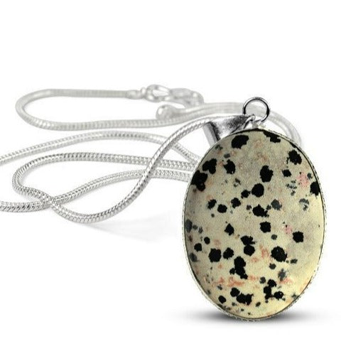 Jasper - Dalmatian neom.soul