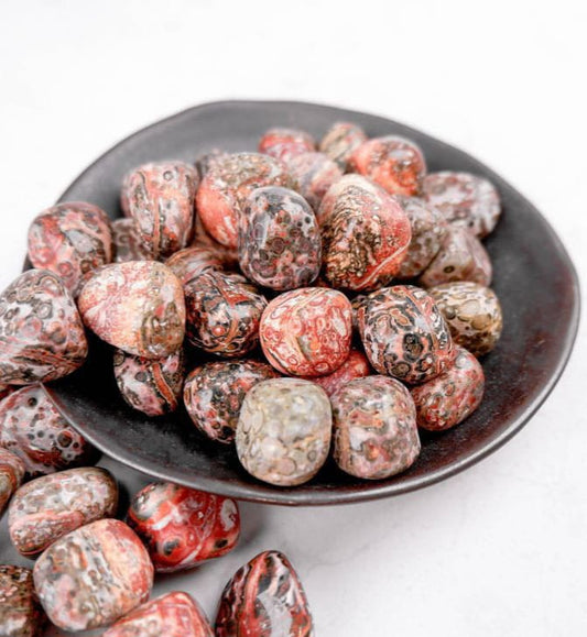 Leopard Skin Jasper neom.soul