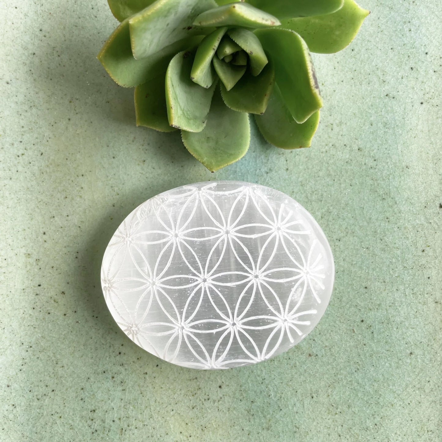 Selenite Palm stone : Flower of Life