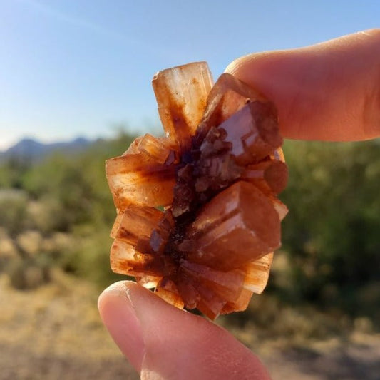 Aragonite neom.soul