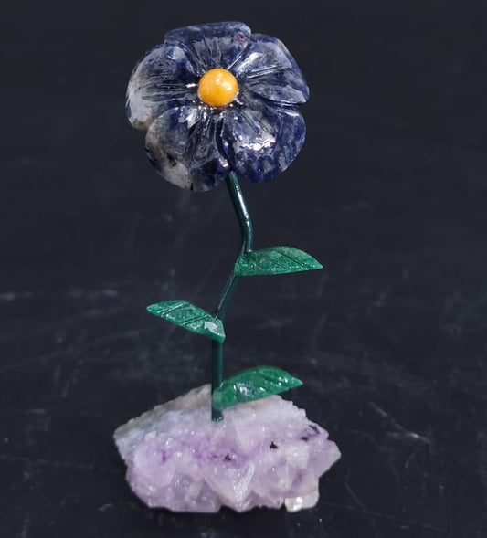 Sodalite flower on raw Amethyst