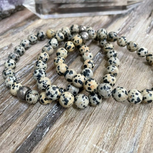 Jasper - Dalmatian neom.soul