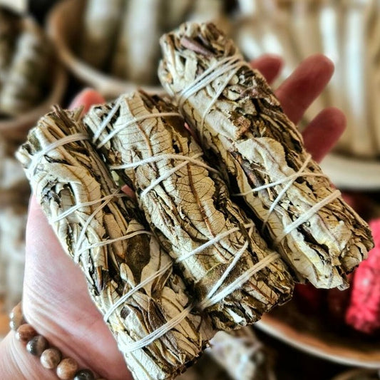 Yerba Santa